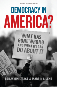 Imagen de portada: Democracy in America? 9780226724935
