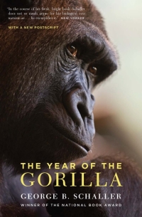 Omslagafbeelding: The Year of the Gorilla 1st edition 9780226736471