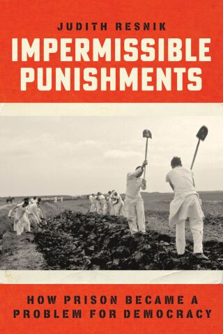 Imagen de portada: Impermissible Punishments 9780226754741