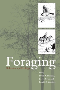 Cover image: Foraging 1st edition 9780226772646