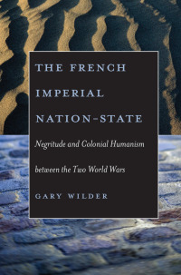 Imagen de portada: The French Imperial Nation-State 9780226897684