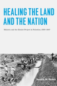 Cover image: Healing the Land and the Nation 1st edition 9780226779355
