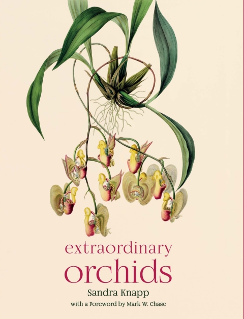 Extraordinary Orchids - FULL INSTANT DOWNLOAD | PDF DOCX EPUB