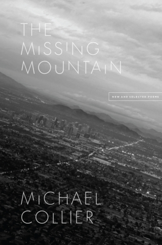 Cover image: The Missing Mountain 9780226795256