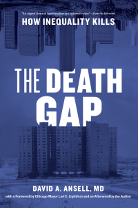 表紙画像: The Death Gap 9780226796710