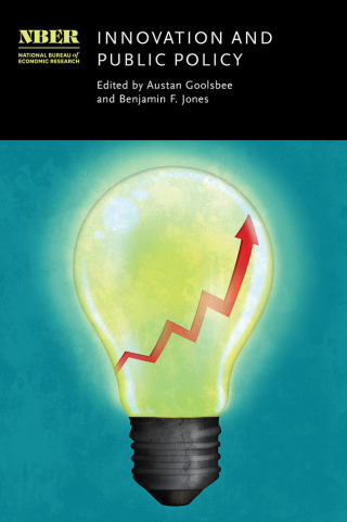 Immagine di copertina: Innovation and Public Policy 9780226805450