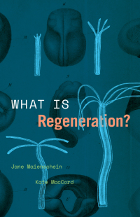 Omslagafbeelding: What Is Regeneration? 9780226816562