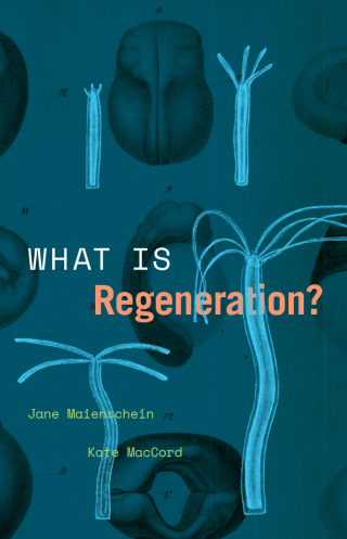 Cover image: What Is Regeneration? 9780226816562