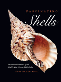 Imagen de portada: Fascinating Shells 9780226819136