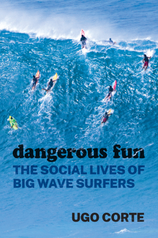 Cover image: Dangerous Fun 9780226815442