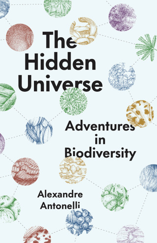 Imagen de portada: The Hidden Universe 9780226821870