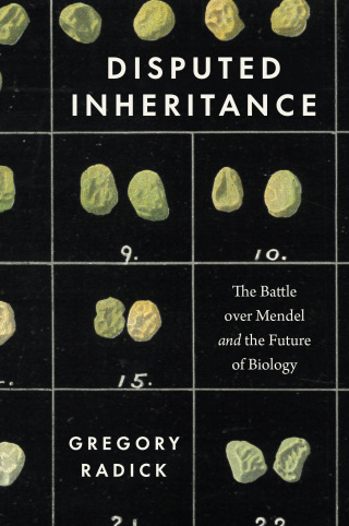 Titelbild: Disputed Inheritance 9780226822709