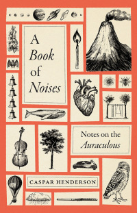 Cover image: A Book of Noises 9780226823232