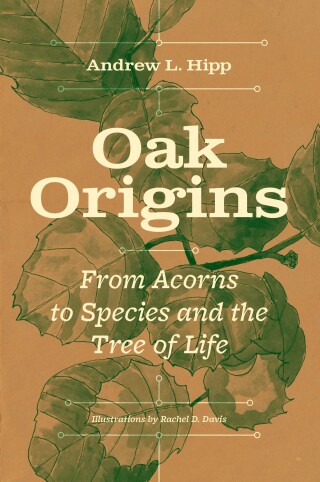 Cover image: Oak Origins 9780226823577