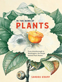 Cover image: In the Name of Plants 9780226824307
