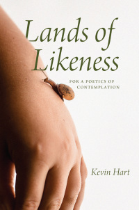 Immagine di copertina: Lands of Likeness 9780226827568