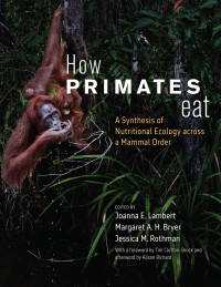 Omslagafbeelding: How Primates Eat 9780226829753