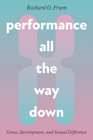 Cover image: Performance All the Way Down 9780226771755