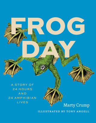 Cover image: Frog Day 9780226830209