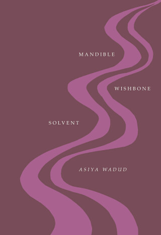 Imagen de portada: Mandible Wishbone Solvent 9780226830957