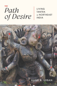 Cover image: The Path of Desire 9780226831107