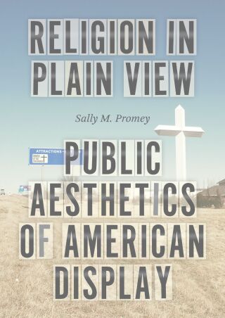 Cover image: Religion in Plain View 9780226832333