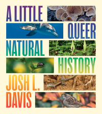 Cover image: A Little Queer Natural History 9780226837031
