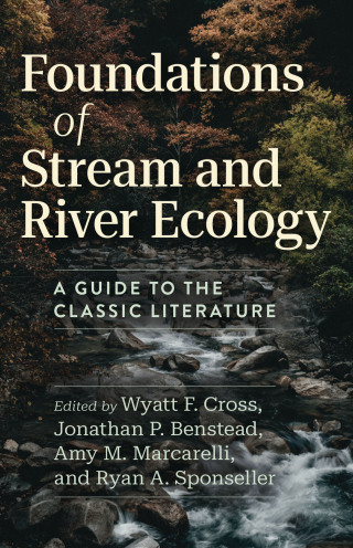 صورة الغلاف: Foundations of Stream and River Ecology 9780226837116