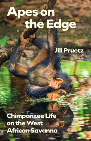 Cover image: Apes on the Edge 9780226837512