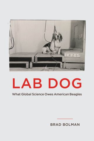 表紙画像: Lab Dog 9780226825533