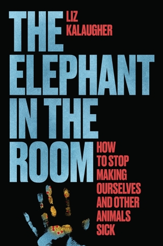 Imagen de portada: The Elephant in the Room 9780226840901