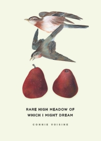 Cover image: Rare High Meadow of Which I Might Dream 1st edition 9780226863511