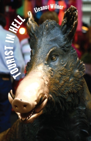 Imagen de portada: Tourist in Hell 1st edition 9780226900322