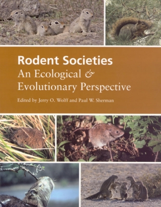 Cover image: Rodent Societies 1st edition 9780226905365