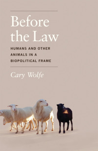 Cover image: Before the Law 1st edition 9780226922409