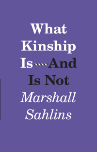 Omslagafbeelding: What Kinship Is-And Is Not 1st edition 9780226925127