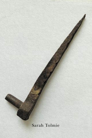 Cover image: Check 9780228003632