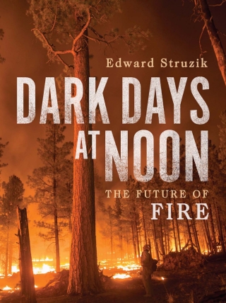 Imagen de portada: Dark Days at Noon 9780228012092
