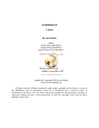Titelbild: Turmoilin 9780228609247