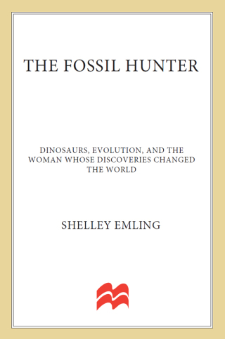 Imagen de portada: The Fossil Hunter 9780230611566