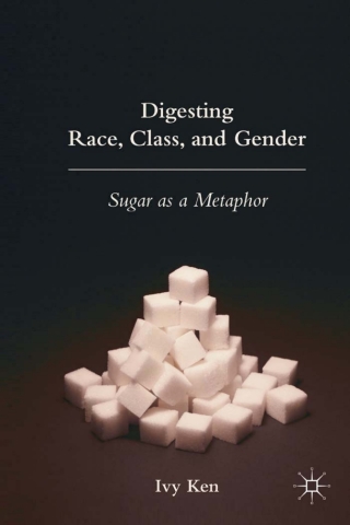 表紙画像: Digesting Race, Class, and Gender 9780230600935