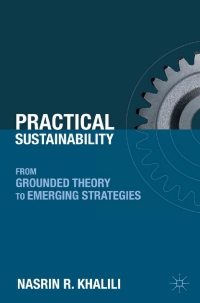 Cover image: Practical Sustainability 9780230104525