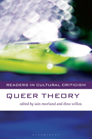 Imagen de portada: Queer Theory 1st edition 9781403916945