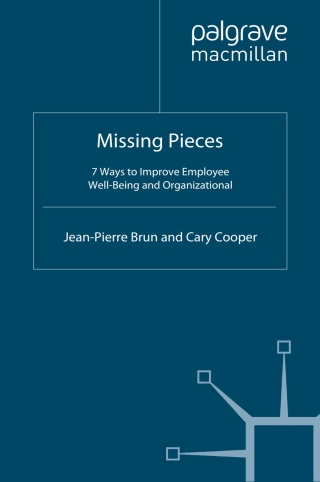 صورة الغلاف: Missing Pieces 9780230576582
