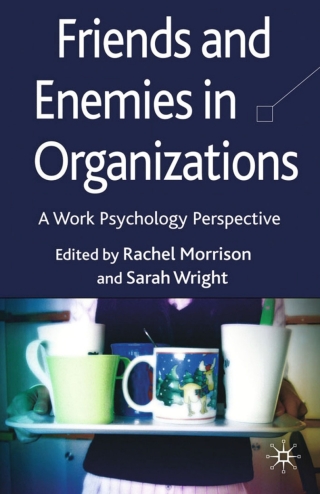 Imagen de portada: Friends and Enemies in Organizations 9780230538764