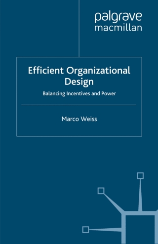 Imagen de portada: Efficient Organizational Design 9780230515529