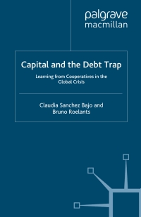 Imagen de portada: Capital and the Debt Trap 9780230252387