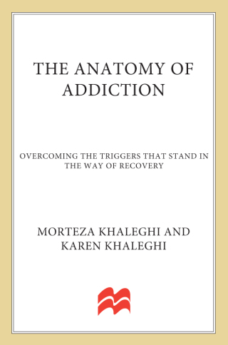 Cover image: The Anatomy of Addiction 9780230107090