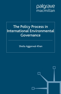 Imagen de portada: The Policy Process in International Environmental Governance 9780230279919