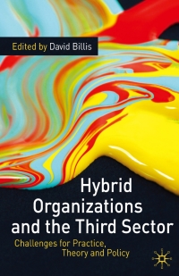صورة الغلاف: Hybrid Organizations and the Third Sector 1st edition 9780230234635